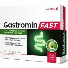 Gastromín Fast